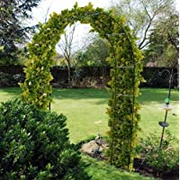Los mejores  - 2.4m Acero Jardín Rosa Arco para escalada plantas Espaldera